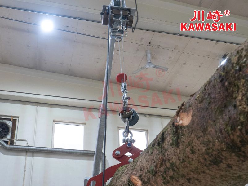 Tời pin được dùng để kéo gỗ